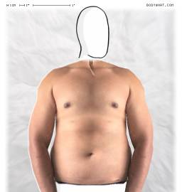 Torso