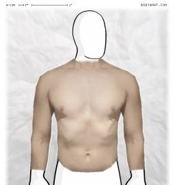 Torso