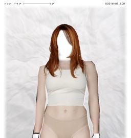 Torso