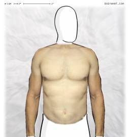 Torso