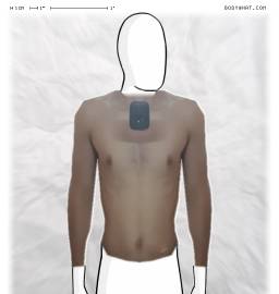 Torso