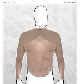 Torso