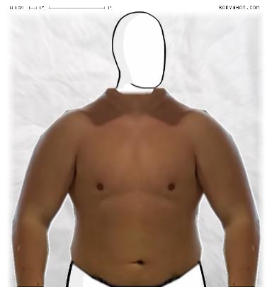 Slim Morphing