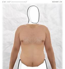 Torso