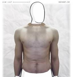Torso