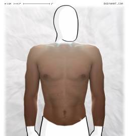 Torso