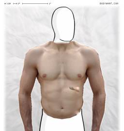 Torso