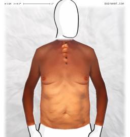Torso