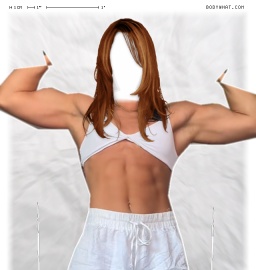 Torso
