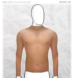 Torso
