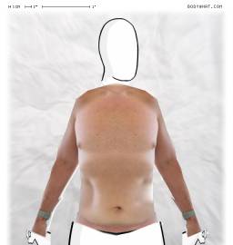 Torso