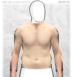 Torso