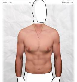 Torso