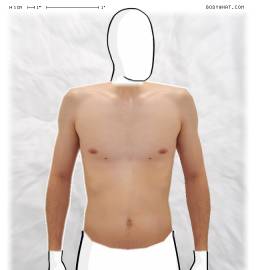 Torso