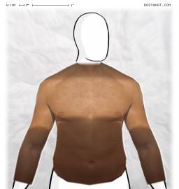 Torso