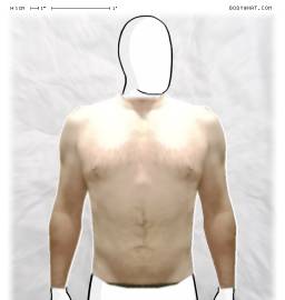 Torso