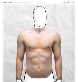 Torso