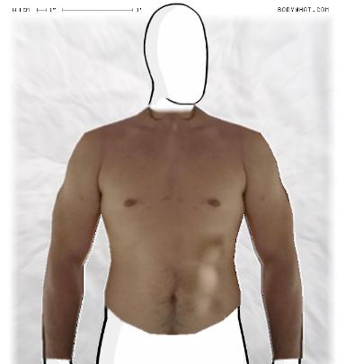 Muscle Morphing