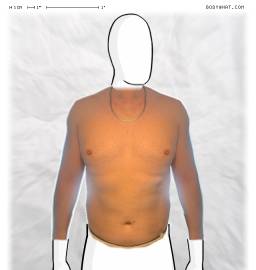 Torso