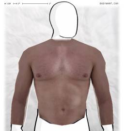 Torso
