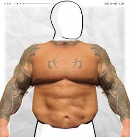 Torso