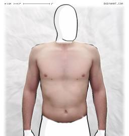 Torso