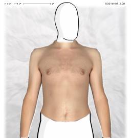 Torso