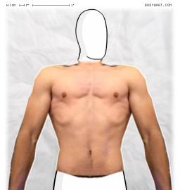 Torso