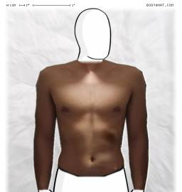 Torso