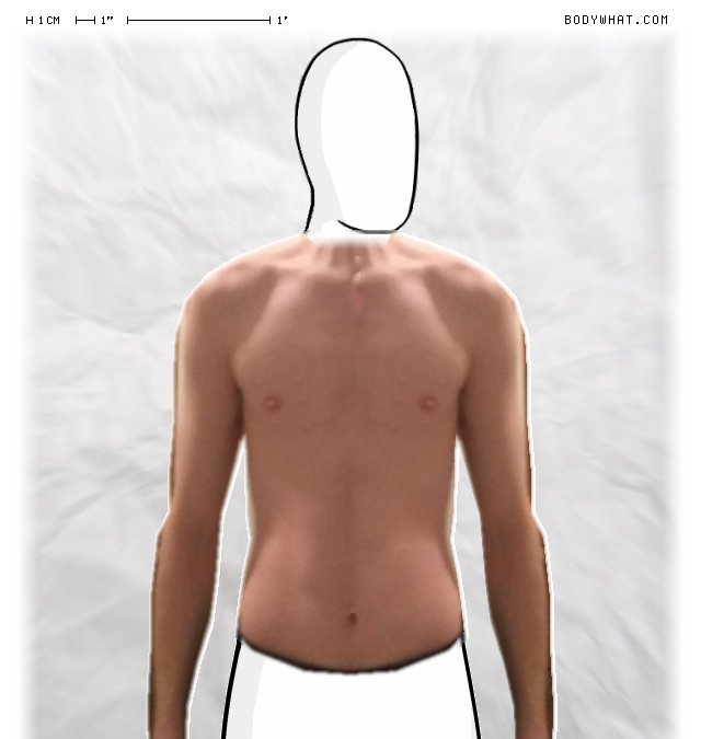 Picture 1