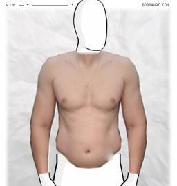 Torso