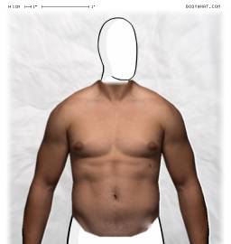Torso
