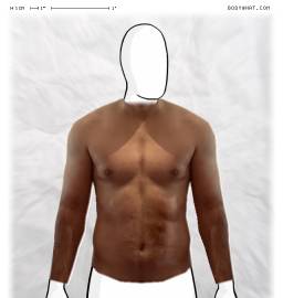 Torso