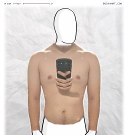 Torso