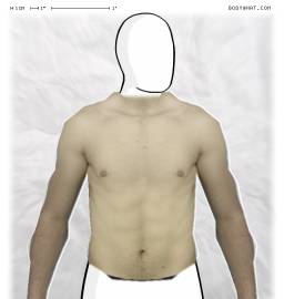 Torso