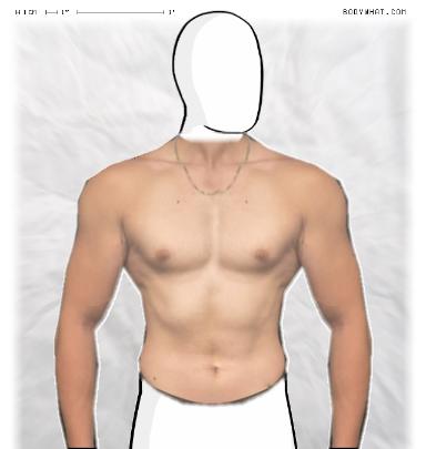Muscle Morphing