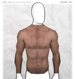 Torso