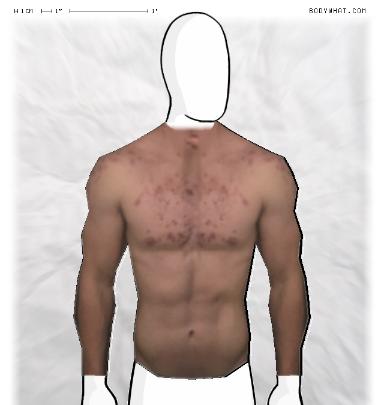 Muscle Morphing