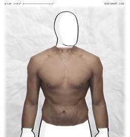 Torso