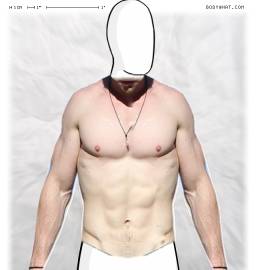 Torso