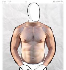 Torso