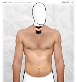Torso