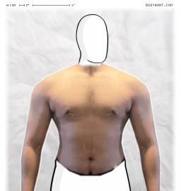 Torso