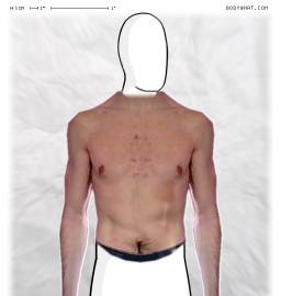 Torso