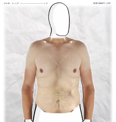 Muscle Morphing