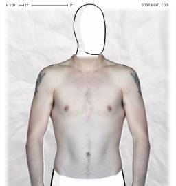 Torso