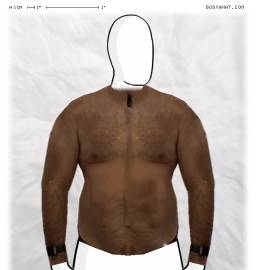 Torso