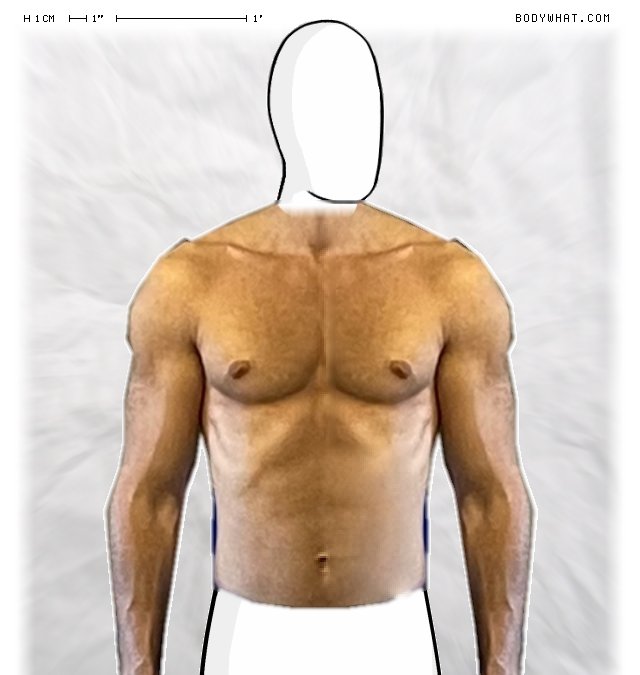 Picture 1