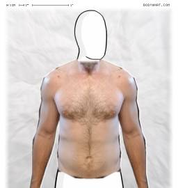 Torso