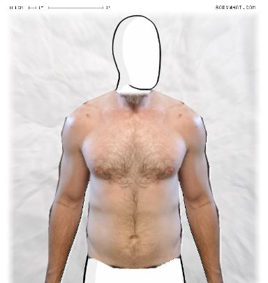 Muscle Morphing